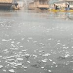 নতুন ভাইরাস ডিঙ্গা ডিঙ্গায় আক্রান্তের লক্ষণ কী