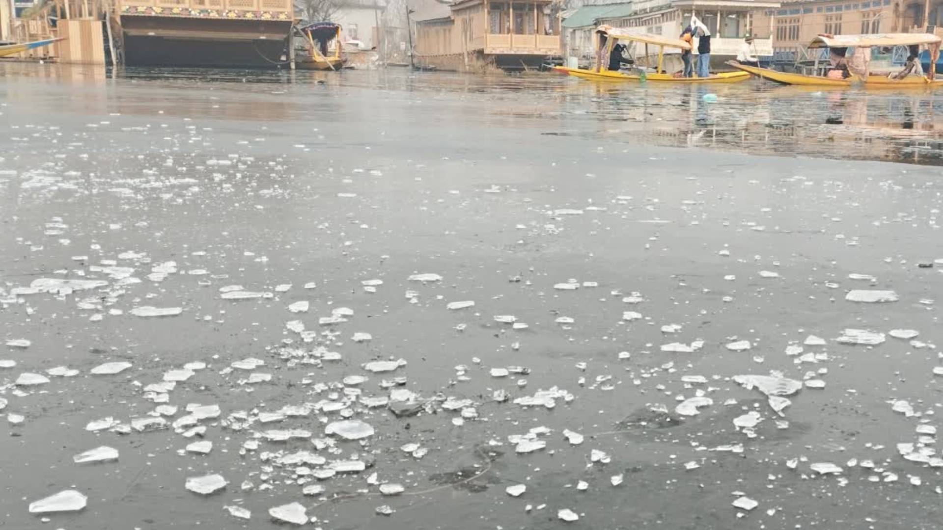 নতুন ভাইরাস ডিঙ্গা ডিঙ্গায় আক্রান্তের লক্ষণ কী