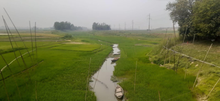 দুষনের প্রভাবে পাবনার সুতিখালি নদী মৃত্যপ্রায়।নদীর বুকে সবুজের সমারোহ