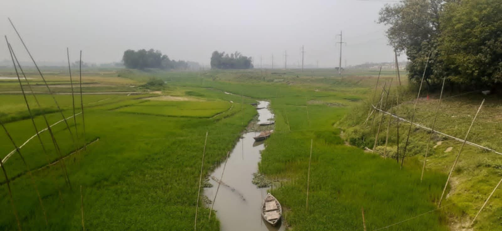 দুষনের প্রভাবে পাবনার সুতিখালি নদী মৃত্যপ্রায়।নদীর বুকে সবুজের সমারোহ