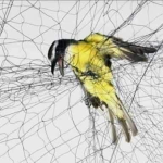 আবার কেন দুঃখ কিনি চড়া দামে