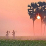 হেমন্তকালকে মনে হয় প্রকৃতির নিঃশব্দ কবিতা