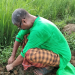 সম্পর্ক