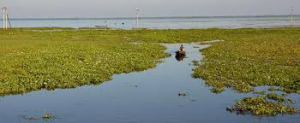 হাওরকে বুঝতে হবে হাওরবাসীর আয়নায়