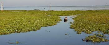 হাওরকে বুঝতে হবে হাওরবাসীর আয়নায়