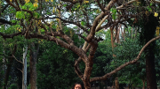 একটি গল্পের প্লট