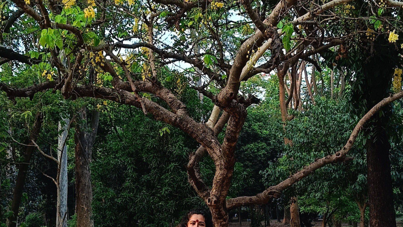 একটি গল্পের প্লট
