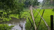 নিভৃত নগর চাই, প্রকৃতিকে হত্যা নয়