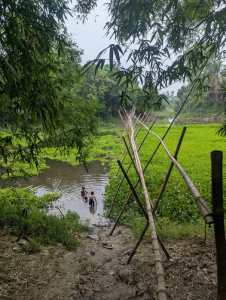 নিভৃত নগর চাই, প্রকৃতিকে হত্যা নয়