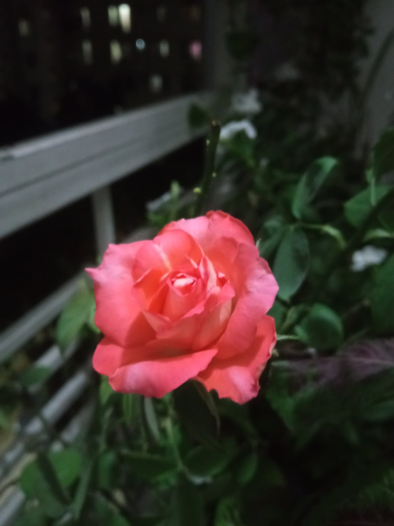 প্রহসন নয় গুনীতন্ত্রের কথা বলছি