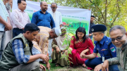 আলমডাঙ্গায় ‘৫ বছরে ২৫ কোটি বৃক্ষরোপণ’ জাতীয় কর্মসূচির উদ্বোধন
