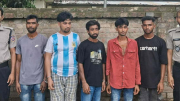 রাজবাড়ীতে গাঁজাসহ ৫ জন গ্রেফতার: মোবাইল কোর্টে সাজা