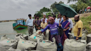 দৌলতদিয়ায় নদী ভাঙন রোধে জিওব্যাগ ফেলা শুরু, সরকারি কাজে বাধা দিলে আইনি ব্যবস্থার হুঁশিয়ারি