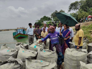 দৌলতদিয়ায় নদী ভাঙন রোধে জিওব্যাগ ফেলা শুরু, সরকারি কাজে বাধা দিলে আইনি ব্যবস্থার হুঁশিয়ারি