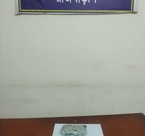 রাজবাড়ীতে ২০০ গ্রাম গাঁজাসহ মাদক ব্যবসায়ী গ্রেফতার