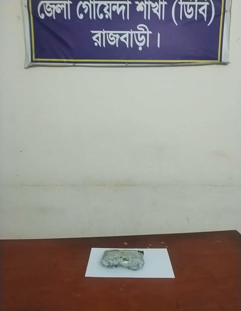 রাজবাড়ীতে ২০০ গ্রাম গাঁজাসহ মাদক ব্যবসায়ী গ্রেফতার