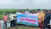 বালিয়াকান্দিতে কৃষি পুনর্বাসন খাতের আওতায় বৃক্ষরোপণ কর্মসূচি ও উপকরণ বিতরণ সম্পন্ন