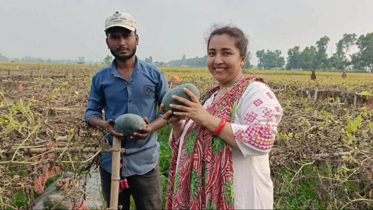 ফুল, ফসলের উৎসবে