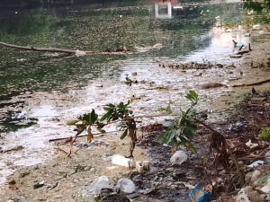 ধানমন্ডি লেকের পরিচ্ছন্নতার দায়িত্ব কার, বছরে কত টাকা বরাদ্দ?