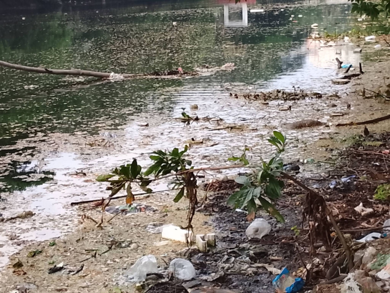 ধানমন্ডি লেকের পরিচ্ছন্নতার দায়িত্ব কার, বছরে কত টাকা বরাদ্দ?