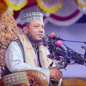 লালন শাহ মাজারে ‘মাদক ও অপসংস্কৃতি’ অভিযোগের প্রতিবাদ,এমপি আমির হামজার বক্তব্যে ক্ষোভ, বক্তব্যকে ষড়যন্ত্রমূলক দাবি কুষ্টিয়া সাংস্কৃতিক জোটের
