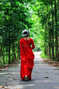 নীনার বিয়ে