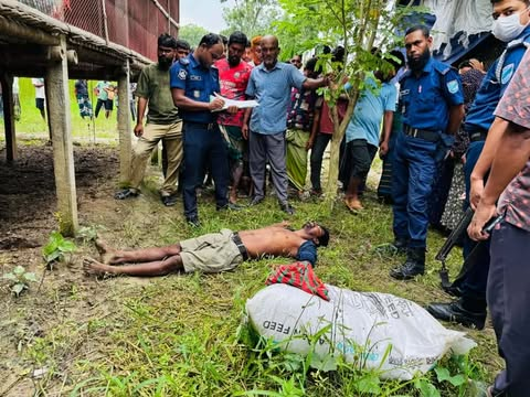 রাজবাড়ীতে পোল্ট্রি খামার থেকে এক জনের মরদেহ উদ্ধার