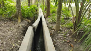 ১০ লাখ টাকায় নির্মিত ড্রেন সাত দিনেই ধসে পড়ল, চরম বিপাকে কৃষকরা