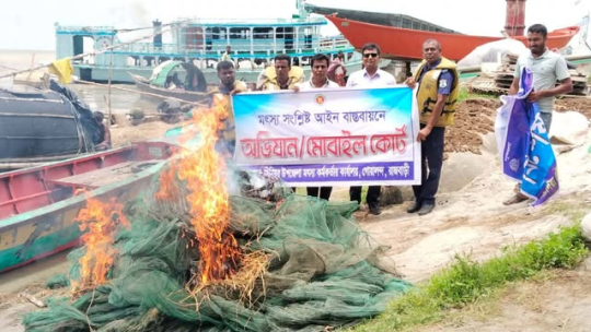 পদ্মা নদীতে যৌথ অভিযান: ১ লাখ ৫ হাজার টাকার নিষিদ্ধ চায়না দুয়ারি জাল জব্দ ও ধ্বংস