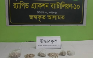 গোয়ালন্দে ১০৫০ পুরিয়া হেরোইনসহ দুই নারী কারবারি গ্রেপ্তার