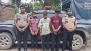 রাজবাড়ীতে গাঁজাসহ আটক ৩, প্রত্যেককে কারাদণ্ড