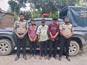 রাজবাড়ীতে গাঁজাসহ আটক ৩, প্রত্যেককে কারাদণ্ড