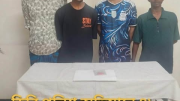রাজবাড়ীতে ৪৮ পিস ইয়াবাসহ ৪ মাদক কারবারি গ্রেফতার