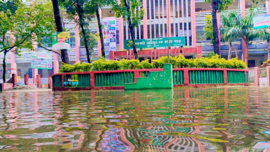 ক্যাম্পাস নাকি হাওর? বগুড়া আজিজুল হক কলেজে জলাবদ্ধতায় শিক্ষার্থীদের চরম ভোগান্তি