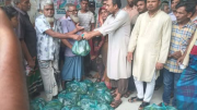 গোয়ালন্দে মেয়র প্রার্থীর ব্যতিক্রমী ‘ফল উৎসব’: ১৫০ পরিবার পেল ফরমালিনমুক্ত আম