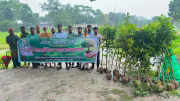 দৌলতদিয়ায় ‘এসো আমরা গড়ি’র মানবিক উদ্যোগ: শিক্ষার্থীদের মাঝে শিক্ষা উপকরণ ও বৃক্ষরোপণ