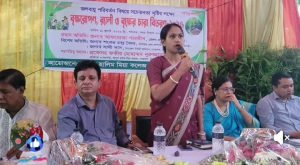 সবুজায়নের অঙ্গীকার নিয়ে আঃ হালিম মিয়া কলেজে বৃক্ষরোপণ কর্মসূচি