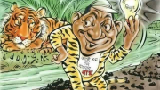ছড়াছবি