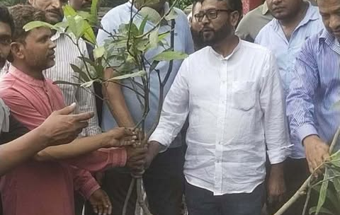গোয়ালন্দে নিরাপদ প্রকৃতি গড়তে উপজেলা যুবদলের উদ্যোগে বৃক্ষরোপণ কর্মসূচি