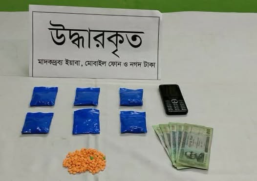 রাজবাড়ীতে ১৩০০ পিস ইয়াবাসহ পেশাদার নারী মাদক ব্যবসায়ী গ্রেফতার: র‌্যাব-১০