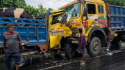 রাজবাড়ীতে দুই ট্রাকের মুখোমুখি সংঘর্ষে গরুর মৃত্যু, আহত ২