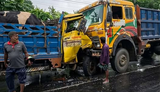 রাজবাড়ীতে দুই ট্রাকের মুখোমুখি সংঘর্ষে গরুর মৃত্যু, আহত ২