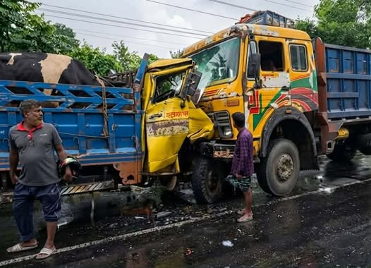 রাজবাড়ীতে দুই ট্রাকের মুখোমুখি সংঘর্ষে গরুর মৃত্যু, আহত ২