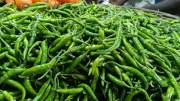 রাজবাড়ীতে সবজির বাজারে আগুন, কাঁচা মরিচ চারশ টাকা ছুঁই ছুঁই